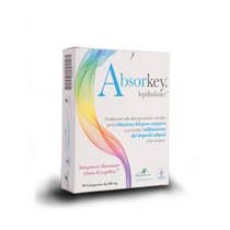 Absorkey 60 Comprimés-1