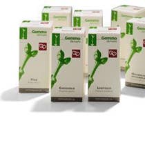 JUDA TREE 200ML MG-1