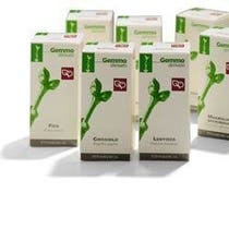 Fitomedical Macérat Glycérique de Charme 200 ml-1