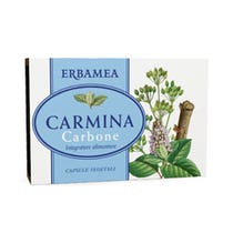 CARMINA CHARCOAL 24CPS 12G-1