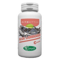 FYOACTIVES LAMINARY ALGAE90CPS-1