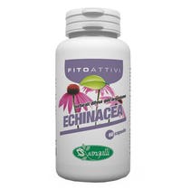 PHYTOACTIVES ECHINACEA 60CPS-2