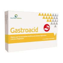 Gastroacide 20 comprimés-2