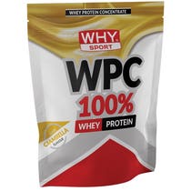 WHYSPORT WPC 100% WHEY DONUT-1