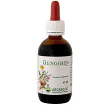 GENGIBEN SOL IAL 50ML-2
