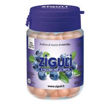 ZIGULI BLUEBERRY 100BALLS 60G-1