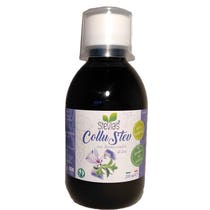 STEVIA'S COLLU STEV STEVIA/IRI-1