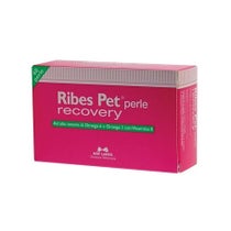 Ribes Pet Recovery Fonction Dermique Pour Chiens Et Chats 60 Perles-4
