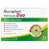 Dr Theiss Mucoplant 24 Comprimés Camomille / Miel-2