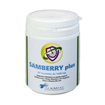 SAMBERRY PLUS 90TAV-2