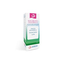 FAGUS SYLVATICA GEMS MG 30ML-2
