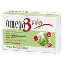 Omega3 Végétal 60 gélules végétales-1