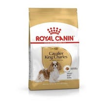 BREED HN CAVALIER KING C 7,5KG-1