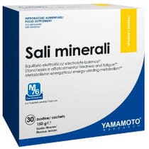 Yamamoto Research Sales Minerales 30 Sobres Sabor Limón-1