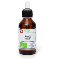 SALICE AMENTI MG ORGANIC 100ML-1