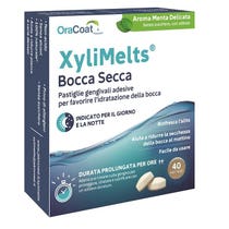 XyliMelts Bouche Sèche Saveur Menthe Délicate 40 Pastilles-1