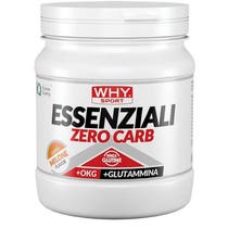 WHYSPORT ESS ZERO CARB MELON-1