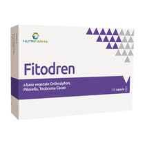 Fitodren 20 Tablets-1