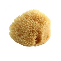 Medium Natural Sponge 1 Piece-1