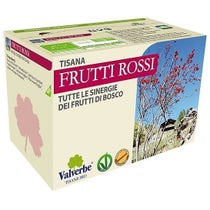 Valverbe Té Frutos Rojos 20 Bio Filtros-1