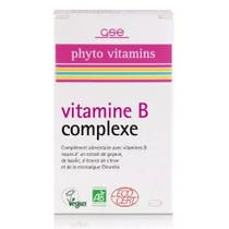 GSE COMPLEJO DE VITAMINA B 60CPS-1
