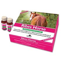 Nbf Lanes Ribes Cheval Aliment Complémentaire Pour Chevaux 30 Ampoules De 25 ml-2