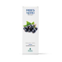 GROSELLA NEGRA GD 100ML-2