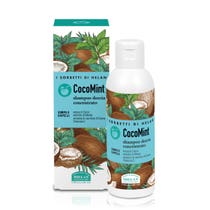 Helan Sorbets Shampoing Douche Concentré CocoMint 150 ml-1