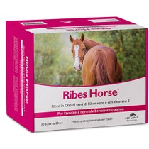 Ribes Cheval Aliment Complémentaire Pour Chevaux 30 Sachets-1
