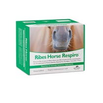 NBF Lanes Ribes Horse Respiro Complementary Feed For Horses 10 Sachets-2