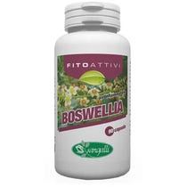 PHYTOACTIVES BOSWELIA 90CPS-2