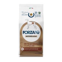 Forza10 Active Intestinal Colon Phase 2 Dry Food for Adult Dogs 10kg bag-1