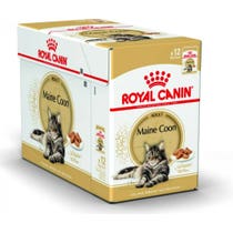 Royal Canin Wet Adult Cat Maine Coon Multipack Mousse 12 Sachets Of 85gr-2
