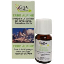 Alpine Herbs Synergy 10ml-2