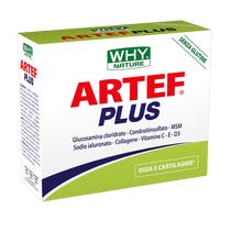 Whynature Artef Plus 24 Bustine-2
