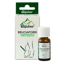 LIQUIDE ALPIN BRULE POIREAU VE-1