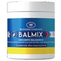 Balmix Balsamic Ointment 100ml-1