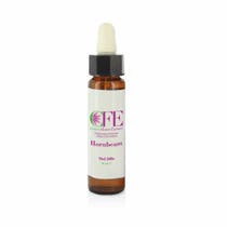 CARBONO CFE STO BOT 10ML-2