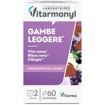 Vitarmonyl Jambes Légères 60 Comprimés-2