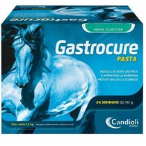 Candioli Gastrocure Pasta For Horses 24 Syringes Of 50g-2