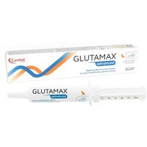 Candioli Glutamax Advanced Pasta Complementary Feed for Dogs/Cats 30ml Dosing Syringe-2