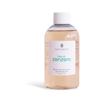 Nature's Fiori Gingembre Recharge Diffuseur 250ml-1