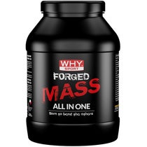 Why Sport Forgé Masse Cacao 1 Kg-1
