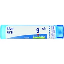 Boiron Uva Ursi Granuli 09Ch Tubo 4g-1