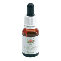 Australia Bush Flower Essences Gotas de Boronia 15ml-2