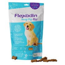 Flexadin Young Complementary Food Joints for Young Large Size Dogs 120 Tablets-5